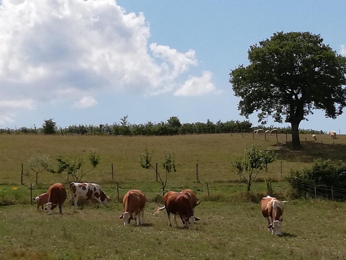Valle Del Poggio Nocera Umbra Luaran gambar